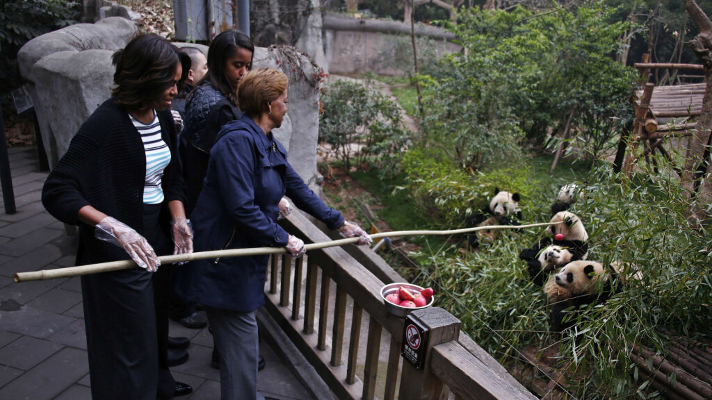 Diplomacia do Panda

Michelle Obama e sua mãe Marian Robinson na Giant Panda Research Base em Chengdu, província de Sichuan, 26 de março de 2014.
 Imagem: REUTERS/Petar Kujundzic