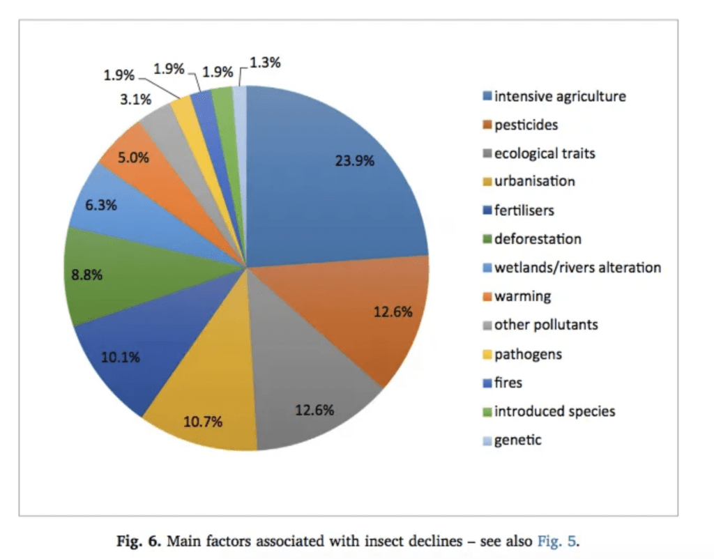 Insetos, o apocalipse: Como a extinção de espécies de insetos afeta a ...