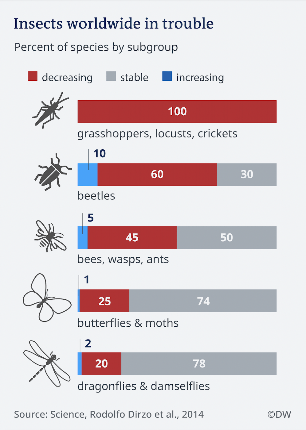 Insetos, o apocalipse: Como a extinção de espécies de insetos afeta a ...