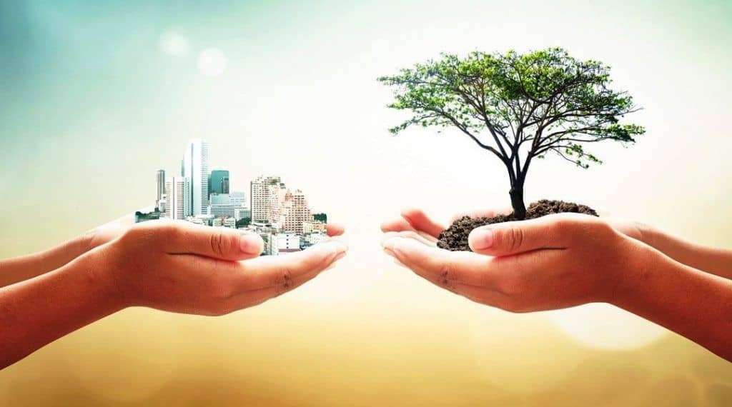 Featured image for “A ecologia urbana e seus estudos”