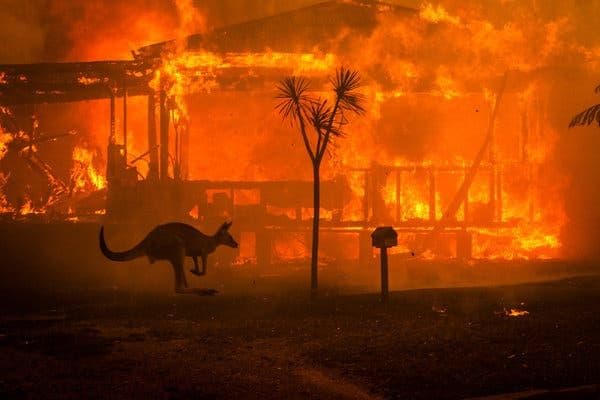 Featured image for “Austrália em Chamas – Parte 1: Uma ilha moldada pelo fogo”